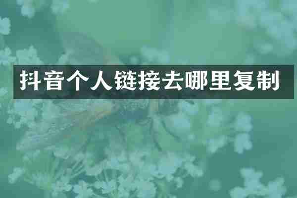 抖音个人链接去哪里复制
