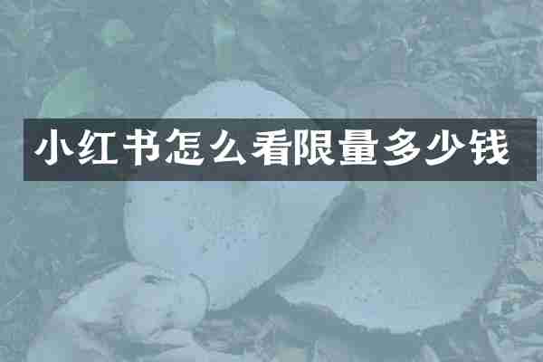 小红书怎么看限量多少钱