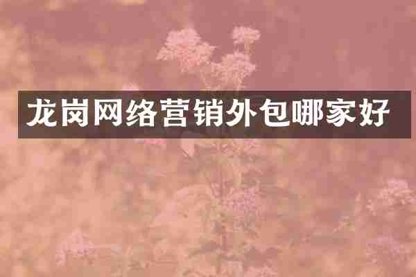 龙岗网络营销外包哪家好