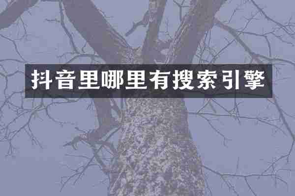 抖音里哪里有搜索引擎
