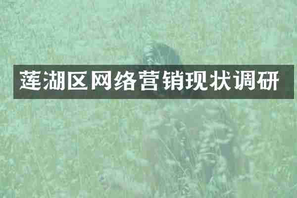 莲湖区网络营销现状调研