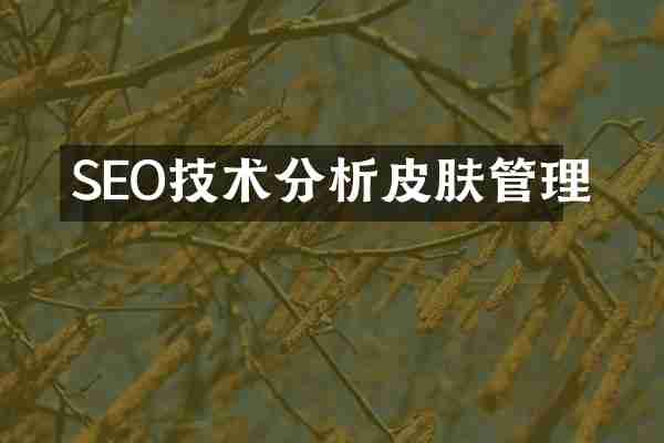 SEO技术分析皮肤管理