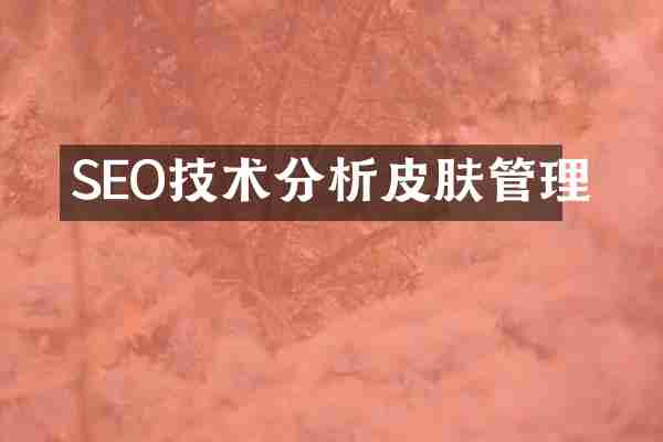 SEO技术分析皮肤管理