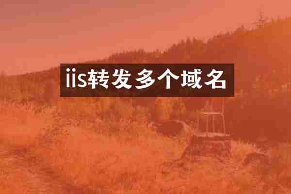 iis转发多个域名