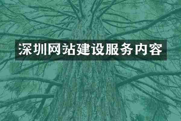 深圳网站建设服务内容