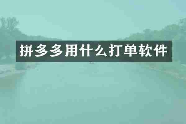 拼多多用什么打单软件