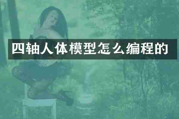 四轴人体模型怎么编程的