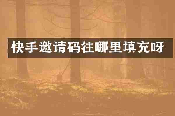 快手邀请码往哪里填充呀