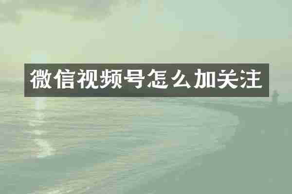 微信视频号怎么加关注