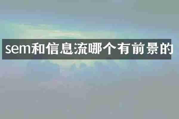 sem和信息流哪个有前景的