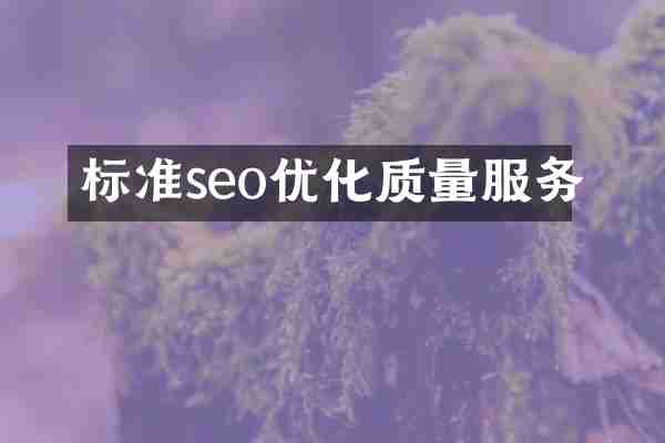 标准seo优化质量服务