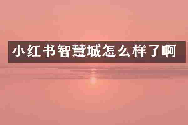 小红书智慧城怎么样了啊