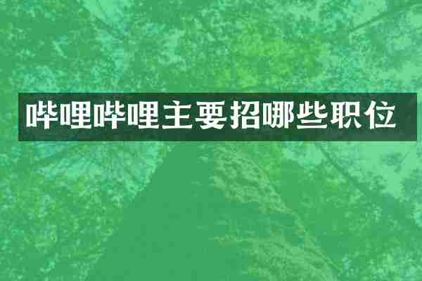 哔哩哔哩主要招哪些职位