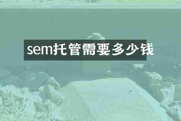 sem托管需要多少钱