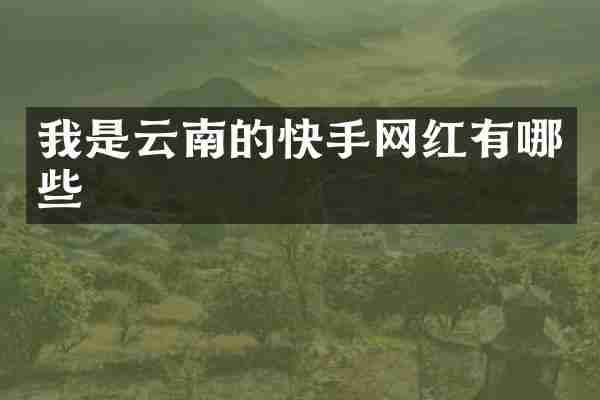 我是云南的快手网红有哪些