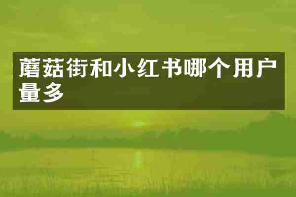 蘑菇街和小红书哪个用户量多