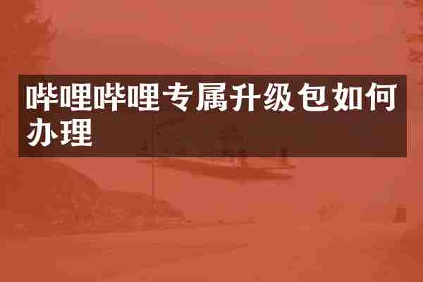 哔哩哔哩专属升级包如何办理