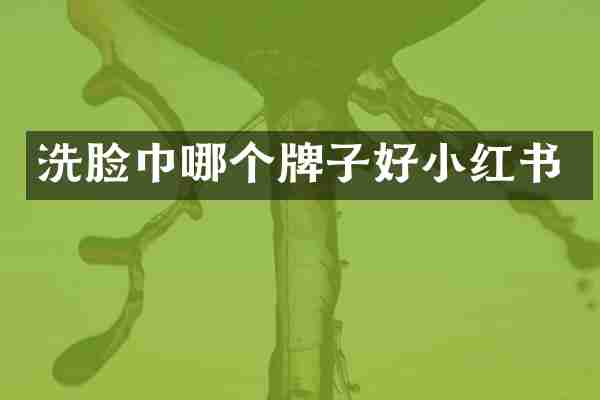 洗脸巾哪个牌子好小红书