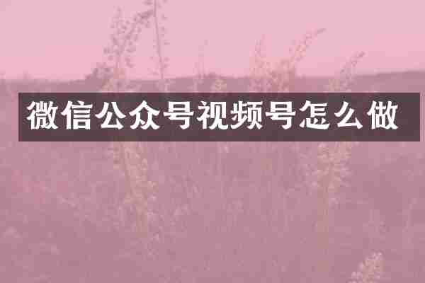 微信公众号视频号怎么做
