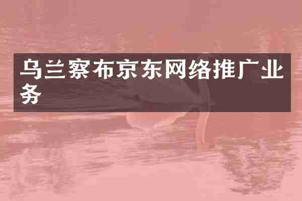乌兰察布京东网络推广业务