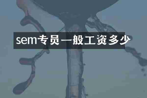 sem专员一般工资多少