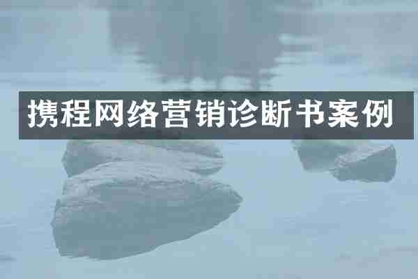 携程网络营销诊断书案例