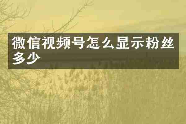 微信视频号怎么显示粉丝多少