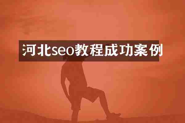 河北seo教程成功案例