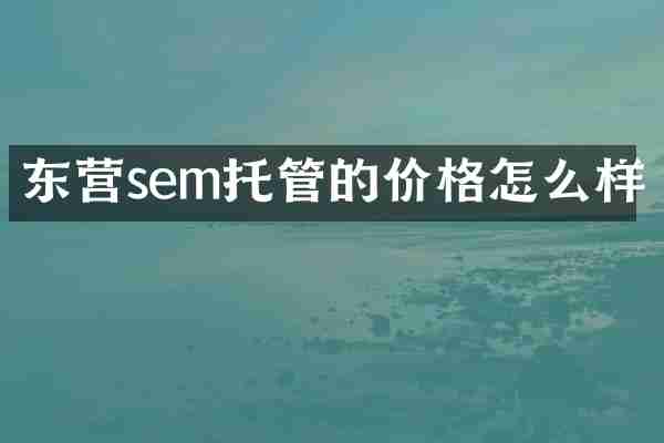 东营sem托管的价格怎么样