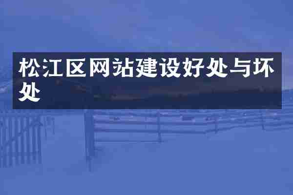 松江区网站建设好处与坏处