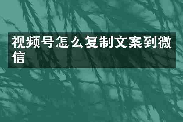 视频号怎么复制文案到微信