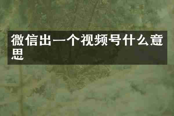 微信出一个视频号什么意思