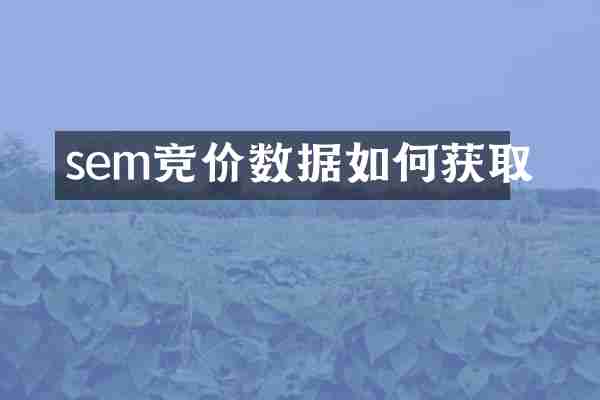 sem竞价数据如何获取