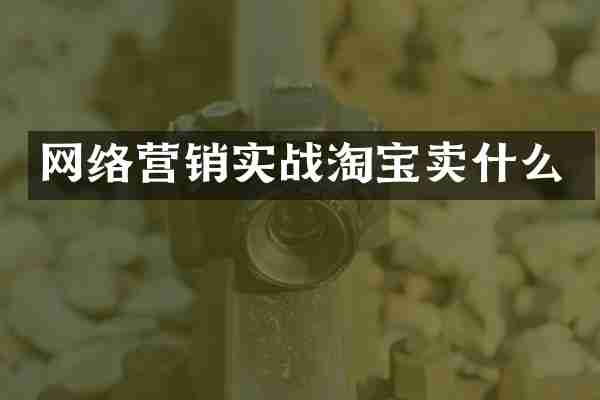 网络营销实战淘宝卖什么