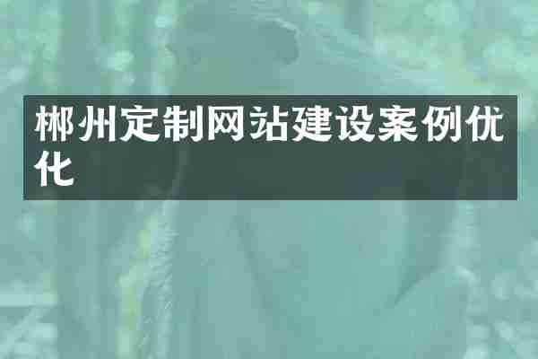 郴州定制网站建设案例优化