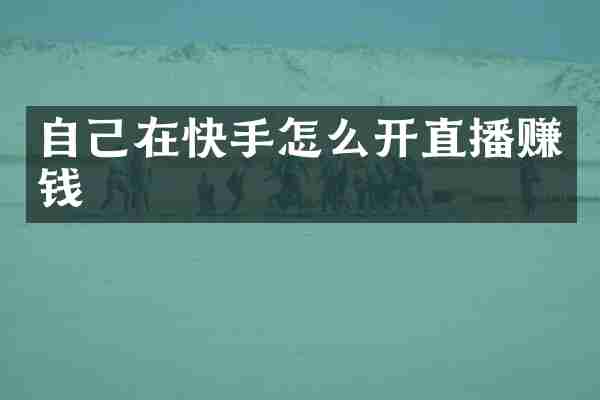 自己在快手怎么开直播赚钱