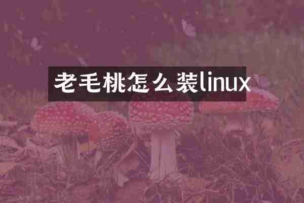 老毛桃怎么装linux