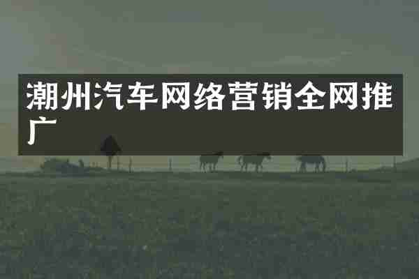 潮州汽车网络营销全网推广