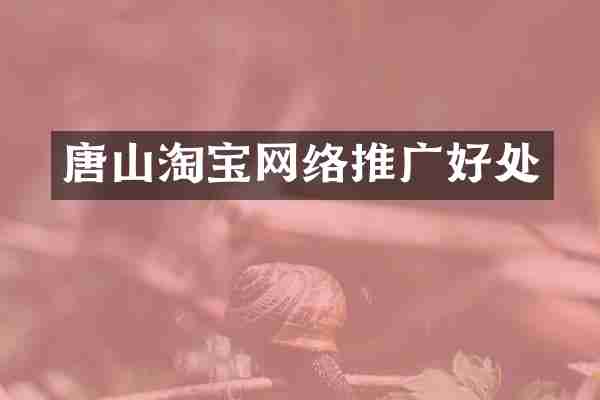 唐山淘宝网络推广好处