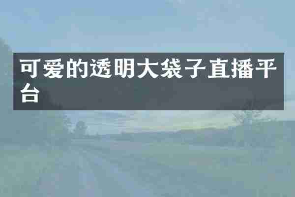 可爱的透明大袋子直播平台