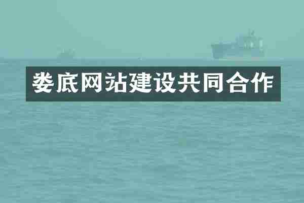 娄底网站建设共同合作