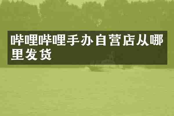 哔哩哔哩手办自营店从哪里发货