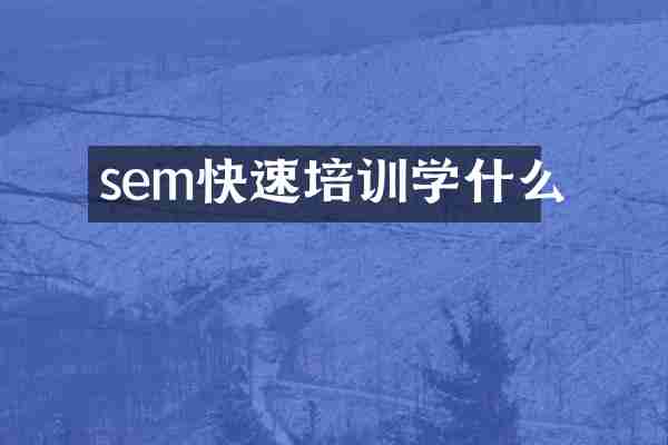 sem快速培训学什么