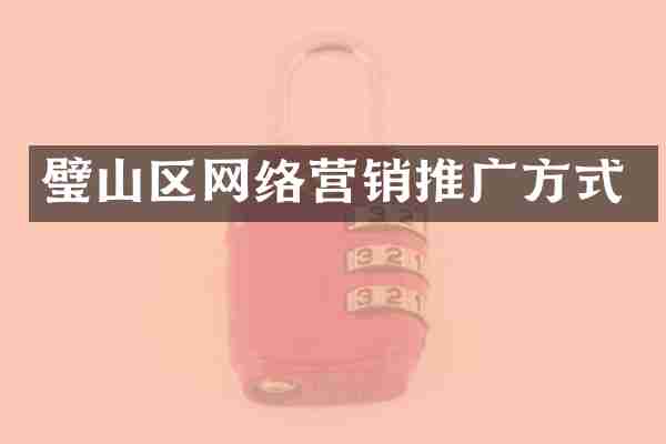 璧山区网络营销推广方式