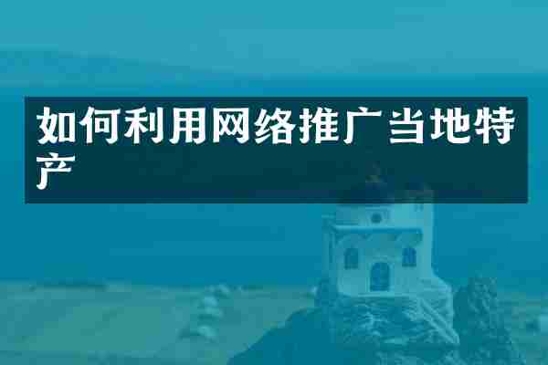 如何利用网络推广当地特产