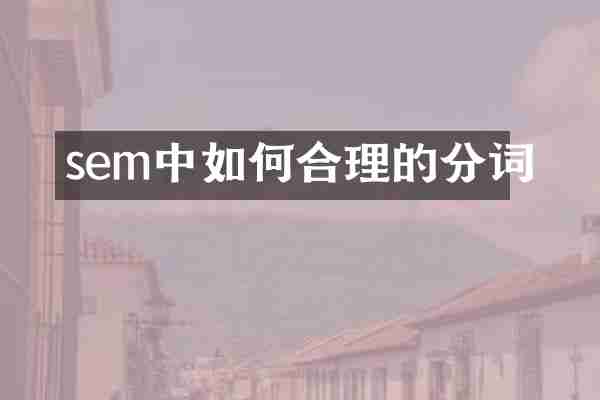 sem中如何合理的分词