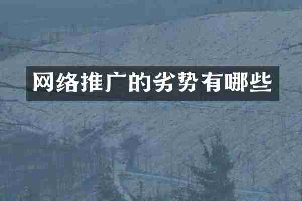 网络推广的劣势有哪些
