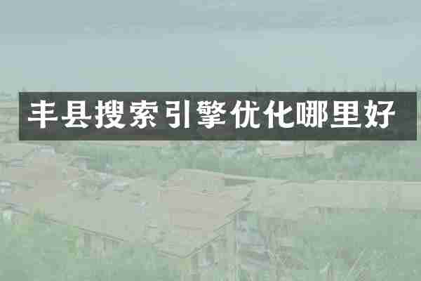 丰县搜索引擎优化哪里好