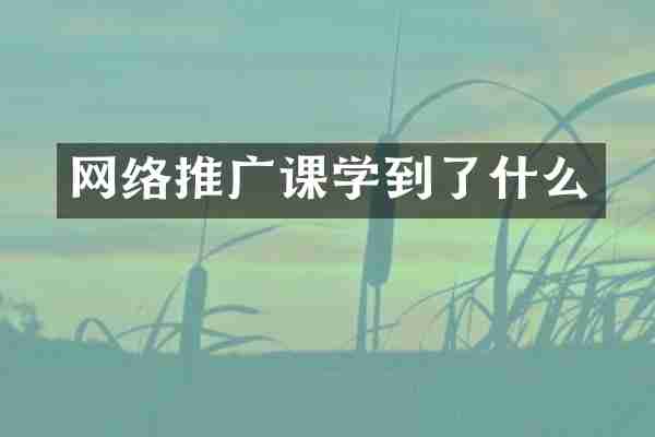 网络推广课学到了什么