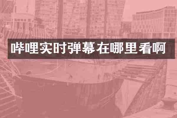 哔哩实时弹幕在哪里看啊